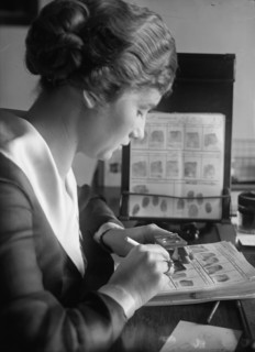 Navy Department, U.S. Intelligence Bureau, Finger Print Department Clerk, Marie S. Dahm, 1918.