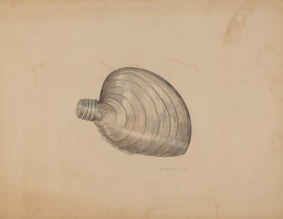 Shell Shaped Flask, c. 1940.