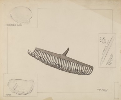 Clam Rake, c. 1936.