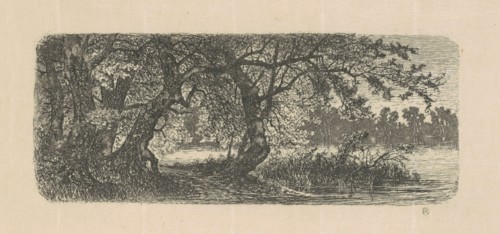 Water Elms, 1870s-1880s.
