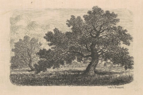 Apple Trees, 1870s-1880s.