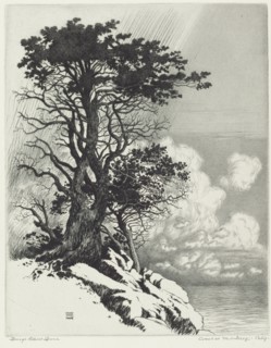 Coast at Monterey, California, c. 1925.