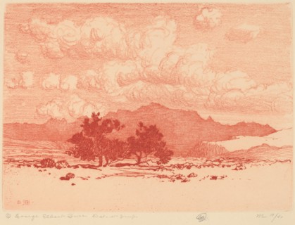 Palo Verde Trees, c. 1920.