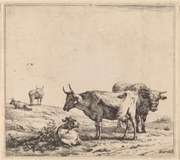 Cow, Bull and Calf.