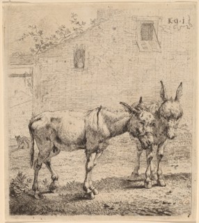 Two Asses, 1652.