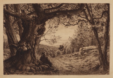 On The Hillside, 1880.