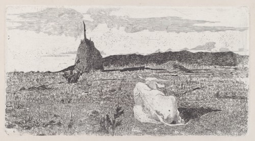 Holy Cow [Pio bove], 1888/1890.