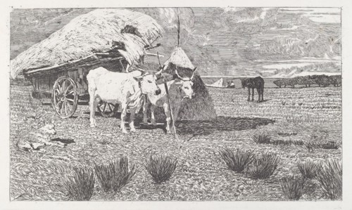 Oxen Yoked to the Cart (Maremma) [Bovi al carro (Maremma)], 1886/1887.
