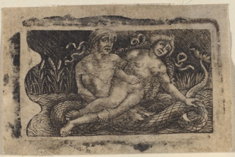 Triton and Nymph, c. 1490/1510.