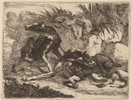 Two Greyhounds, Leashed and Facing Opposite Directions, 1642.