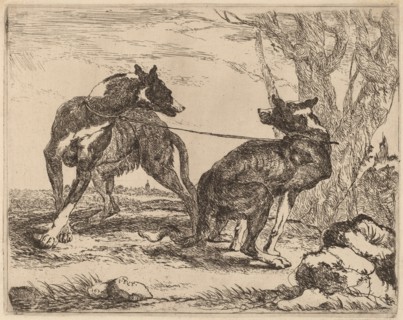 Two Greyhounds, Leashed and Facing Each Other, 1640.