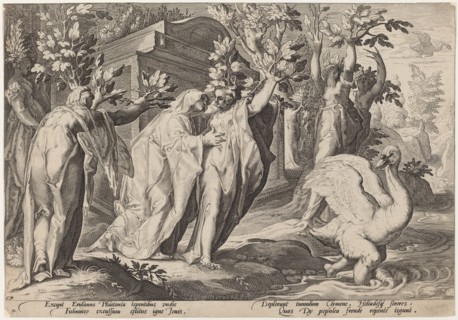 Phaeton's Sisters Changed into Poplars, and Cygnus into a Swan, 1589.
