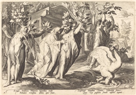 Phaeton's Sisters Changed into Poplars, Cygnus into a Swan.