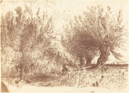 Banks of a River (Bords de Riviere), c. 1866.