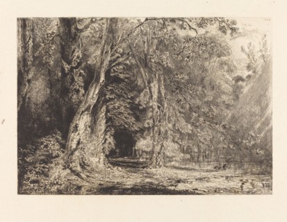 Flooding in the Forest of the Ile Séguin, 1833.