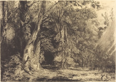 Flooding in the Forest of the Ile Séguin, c. 1833.
