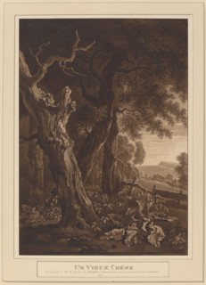 Ancient Oaks in a Landscape, 1792.