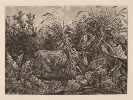 The Cow in the Swamp, 1800/1803.