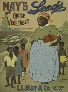 May's seeds, c1895 - 1917.