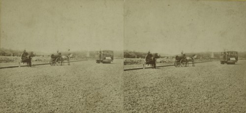 Paving of Lenox Ave. no. of Central Park., c1850-1930.