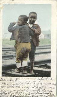 A Native Product, 1902 - 1903.