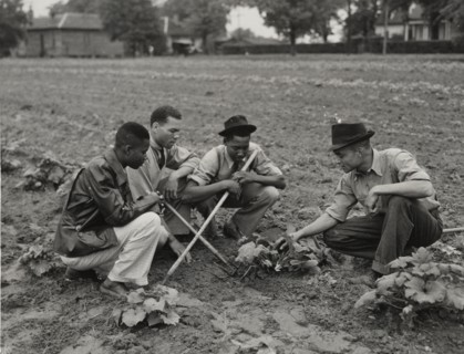 Fort Valley Normal and Industrial School, experimental garden, 1939 - 1943.