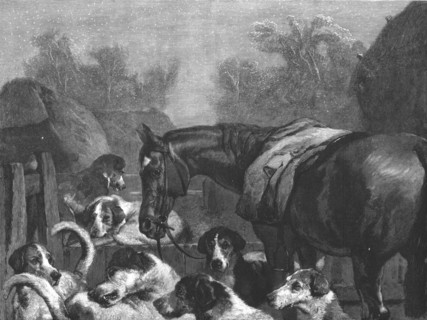 ''"Hunter and Hounds" after Sir Edwin Landseer, R.A. Creator: Unknown.