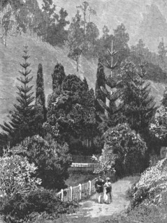 ''A Visit to the Island of St. Helena; Napoleon's Tomb', 1890. Creator: Unknown.