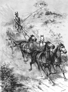 ''Monarch of all he surveys" - A Donkey Driver at Durban', 1890. Creator: G Durand.