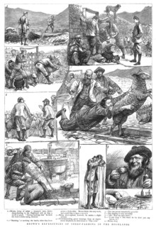 ''Brown's Experiences of Sheep - Farming in the Highlands', 1890. Creator: Unknown.