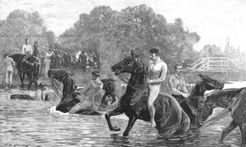 'The Cavalry Manoevres in Berkshire - Officers of the Horse Guards and Life Guards, 1890. Creator: John Charlton.