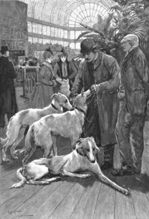 ''The Crystal Palace Dog Show -- Russian Wolf Hounds awaiting their turn to Enter the Ring', 1890. Creator: Unknown.
