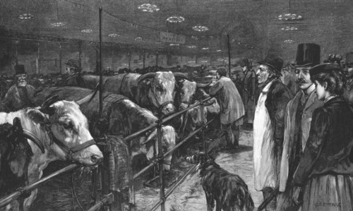 ''The Smithfield Club Cattle Show at the Agricultural Hall', 1891. Creator: George Harrison.