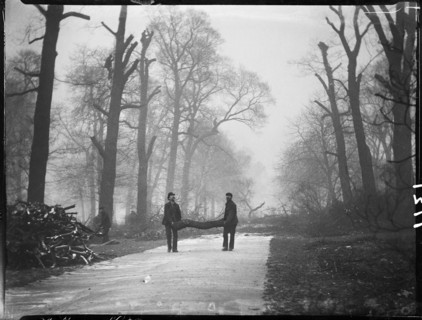 Kensington Gardens, Hyde Park, City of Westminster, London, 1907. Creator: Katherine Jean Macfee.