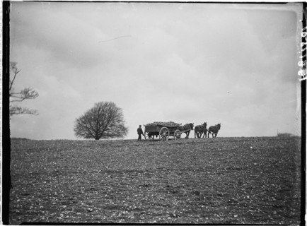 Slindon, Arun, West Sussex, 1908. Creator: Katherine Jean Macfee.