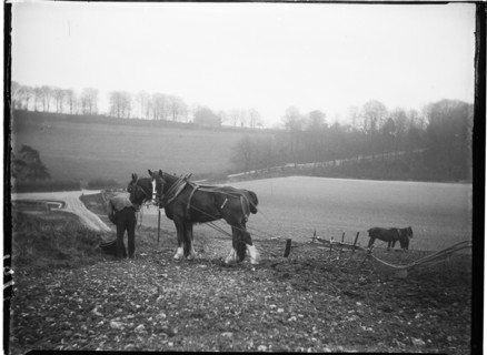 Courthill Farm, Nore Wood Lane, Slindon, Arun, West Sussex, 1908. Creator: Katherine Jean Macfee.
