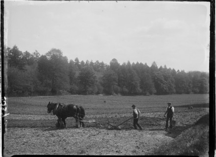 Frensham, Waverley, Surrey, 1909. Creator: Katherine Jean Macfee.