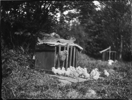 Clayton's Farm, Speldhurst, Tunbridge Wells, Kent, 1911. Creator: Katherine Jean Macfee.