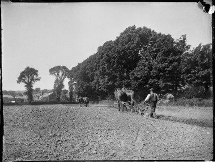 Easton, Freshwater, Isle of Wight, 1914. Creator: Katherine Jean Macfee.