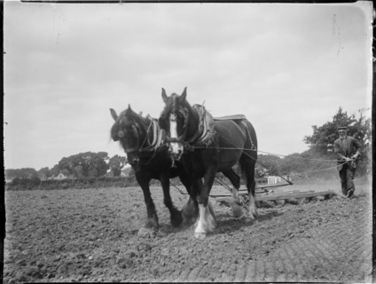 Easton, Freshwater, Isle of Wight, 1914. Creator: Katherine Jean Macfee.