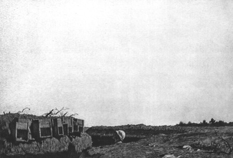 'Printemps de 1916 : Le chant de l'Alouette', 1916. Creator: Georges Leroux.