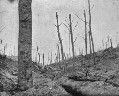'La reprise du bois de la Caillette; Boyau dans le bois de la Caillette', 1916. Creator: Unknown.