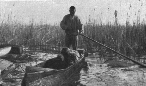 'La guerre aerienne en Macedoine Grecque : un avion ennemi "Descendu" dans le lac amatovo..., 1916. Creator: Unknown.