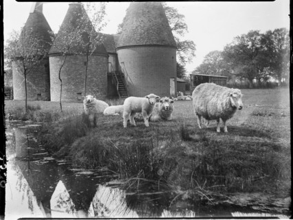 Luckhurst, Lower Road, Stone-cum-Ebony, Ashford, Kent, 1926. Creator: Katherine Jean Macfee.