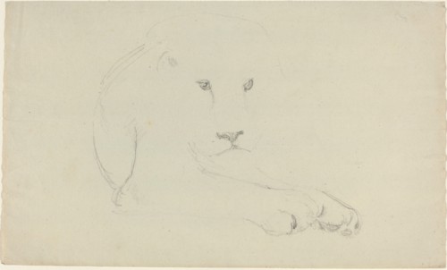 Lion. Creator: John Flaxman.