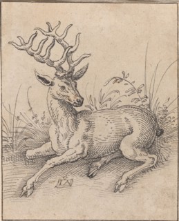 The Stag. Creator: Jost Ammon.