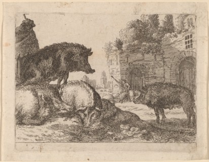 Pigs. Creator: Herman van Swanevelt.