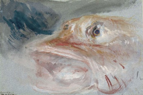 Gurnet's Head, n.d. Creator: Unknown.