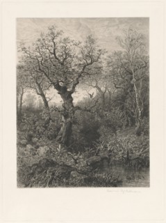 Autumn, 1871. Creator: Eduard Willmann.