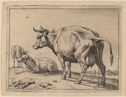 Pissing Cow, 1650. Creator: Paulus Potter.